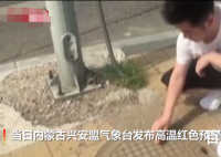 内蒙古市民井盖上煎蛋 内蒙古多地最高气温接近40摄氏度希望当地居民做好防暑措施