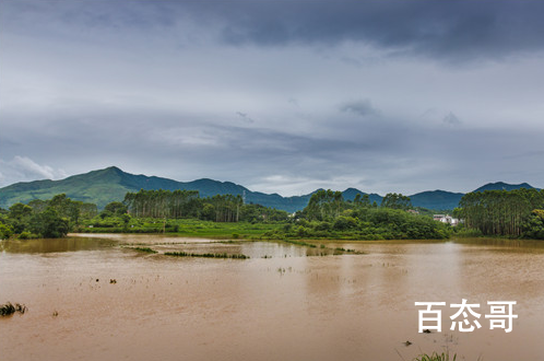 广东多地严重内涝 多名群众被困当地逐家逐户地毯式营救疏散