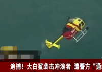 大白鲨袭击冲浪者遭警方通缉  警方出动直升机花费3小时抓捕还是让狡猾的鲨鱼逃走了