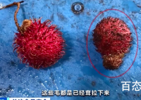 央视重磅曝光无良商贩竟然这样泡水果 背后的真相让人惊愕！