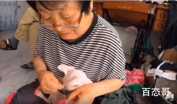 东北奶奶给无毛猫织毛衣 这是拍猫冻感冒了吗？