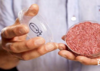 豆腐成为美国热门肉类替代商品 豆腐要成为热门商品了吗？