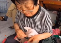 东北奶奶给无毛猫织毛衣 这是拍猫冻感冒了吗？