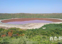 印度湖泊变粉红色 变色的原因是什么具体是怎么回事？