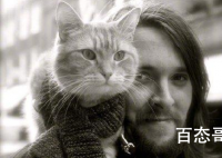 流浪猫鲍勃去世 我的生活失去了一道光芒那道光从此一去不复返