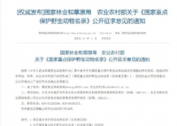 长江江豚拟升为国家一级保护动物 你怎么看你觉得有必要吗？
