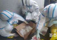 北京新发地检出病毒比欧洲病毒要老是怎么回事 真实原因让人惊讶！