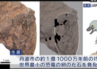 日本发现最小恐龙蛋化石 这枚恐龙蛋化石是在哪里发现的？