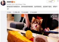 郭碧婷关评论 郭碧婷是在家呆着无聊想复出娱乐圈了吗？