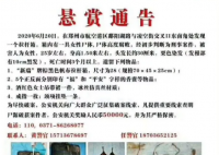郑州一拉杆箱内发现女尸 女尸具体叫什么名字哪里人？