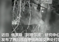 中俄边境两只熊打架 熊大跟熊二谁打赢了？