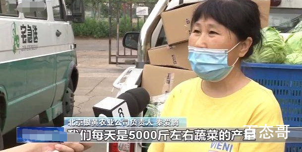 6月全国菜价上涨 菜价平均上涨较往年的百分之多少？