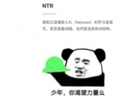 ntr是啥意思啊 ntr什么意思网络语言