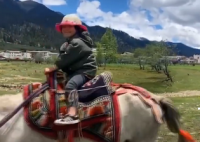 带4岁女儿骑行西藏奶爸回应质疑  奶爸带女儿一共走了多少公里？