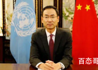 耿爽首次亮相联合国全英文发言 耿爽是哪里人都做过哪些岗位