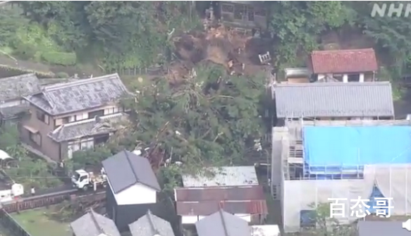 日本千年神树因大雨连根倒地 具体倒地原因相关部门还在调查当中