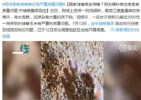 中储粮回应储备粮出现质量问题 已经安排相关部门正在调查当中