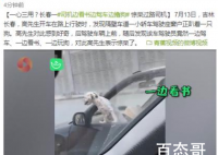 司机开车时边撸狗边看书 这种神操作应该扣几分