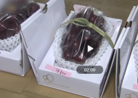 日本天价葡萄一串8.5万元  一串葡萄有多重？