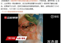煎饼果子里吃到蛆虫摊主却继续卖 事件始末具体是怎样的？