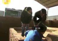 陕西成功修复2800年前的青铜豪车 这辆马车当时是用于做什么的？