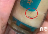 韩国多地自来水现幼虫样生物  都是什么品种的幼虫数量多吗？
