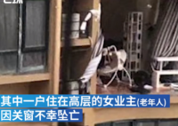 台州老人台风天关窗时坠亡 当时家里有没有别人了？