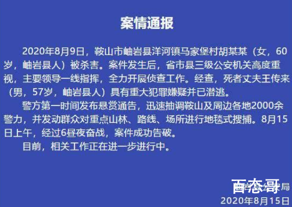 辽宁鞍山杀妻案告破 事件具体始末是怎样？