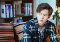 付嘉主演的电视剧叫什么 付嘉个人资料简介现在还是单身吗？