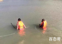 在可可西里失联的95后小伙已离世 具体是怎么离世的哪天去世的？