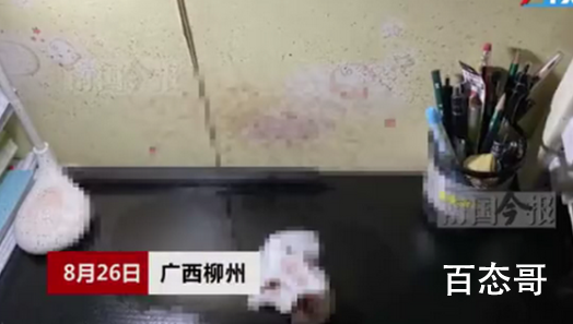 广西女租客发现天花板滴血 背后的真相让人惊悚！