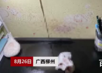 广西女租客发现天花板滴血 背后的真相让人惊悚！