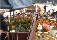 哄抢榴莲的村民食物中毒 是榴莲有毒吗？