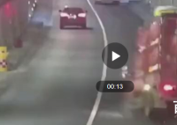 交警高速隧道抓了1小时兔子 这些兔子都是从哪里来的？