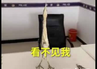 小鸟遇人僵直脖子伪装枯草 这是什么品种的鸟名字叫什么？