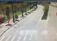 毒蚂蚁诱饵被捡走差点成孩子晚餐 这是哪家的熊孩子干的？