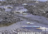 志愿者在青藏高原捡40多万件垃圾 哪些品种的垃圾居多