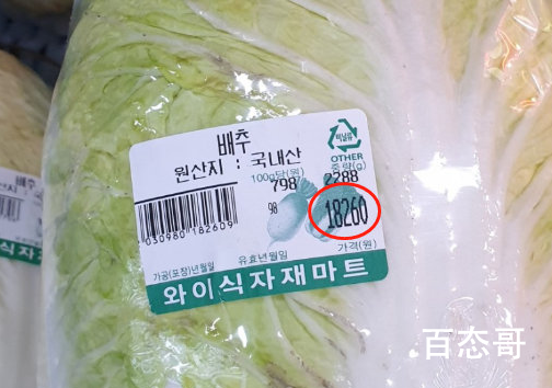 韩国大白菜涨价至62元一棵 韩国别的蔬菜价格也是这么高吗？