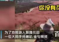 景区大妈硬核提醒游客别踩花田 网友戏称中国大妈就是这么可爱