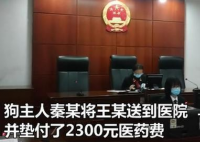 60岁大爷玩轮滑和未牵绳的狗相撞 双方各执一词最终法院是怎么判决的？