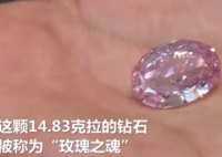世界最大紫粉钻石拍出2660万美元 该颗紫粉钻有多少克？