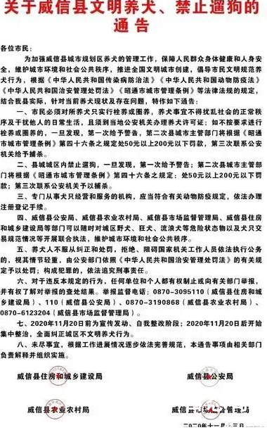 云南一地禁止遛狗 违反三次捕杀外省也会采取同样的措施吗？