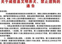 云南一地禁止遛狗 违反三次捕杀外省也会采取同样的措施吗？