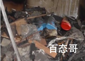 上海杀妻焚尸案爱犬救主冲入火海 犯罪嫌疑犯归案了吗