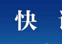 河南货车与送葬人群相撞致9死4伤 事故发生的原因是什么？