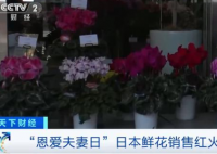 超4成日本年轻女性不结婚不恋爱 日本年轻女性为什么不结婚原因是什么