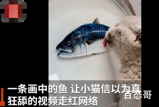 小伙创作3D树脂鱼馋得猫舔盆子  网友戏称高手在民间