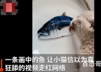 小伙创作3D树脂鱼馋得猫舔盆子  网友戏称高手在民间