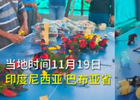74只珍稀鹦鹉被塞进塑料瓶走私 该鹦鹉属于几级保护动物