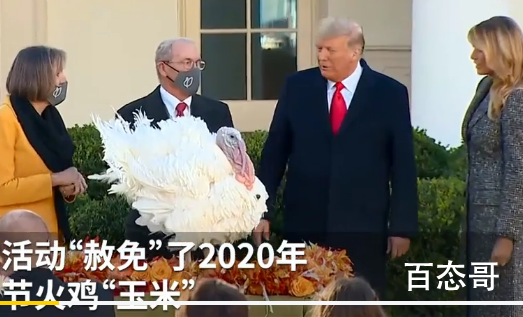 特朗普赦免火鸡被问是否赦免自己 特朗普的迷之一笑让人为之一震